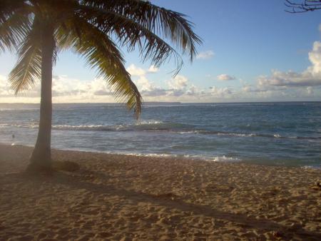 La plage du moule